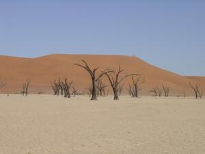 Africa 2003