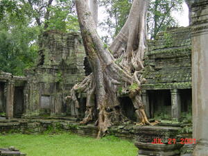 Asia 2001
